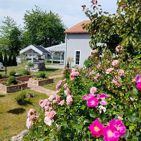 Agroturystyka Rybno Rybno  外观 照片